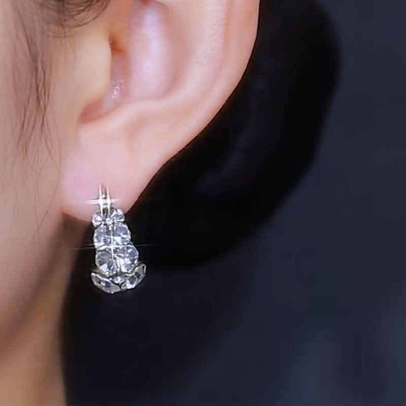 Style Zircon Sparkling Earrings