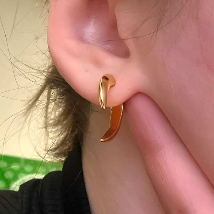HORN EARRINGS (PAIR)