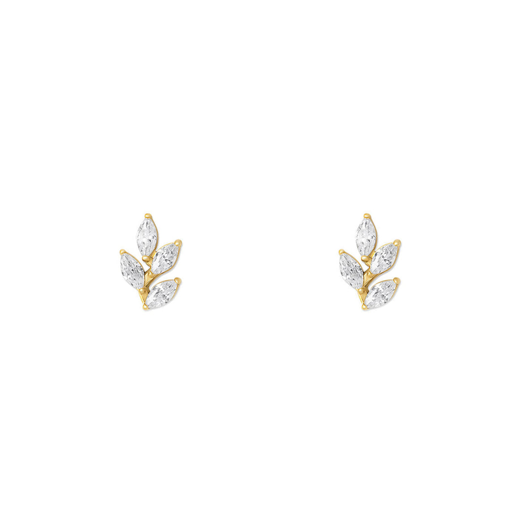 NAMI. STUDS
