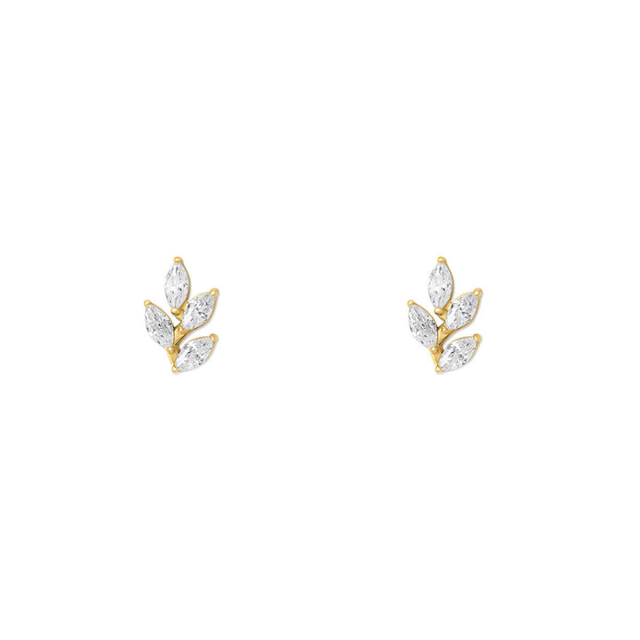 NAMI. STUDS