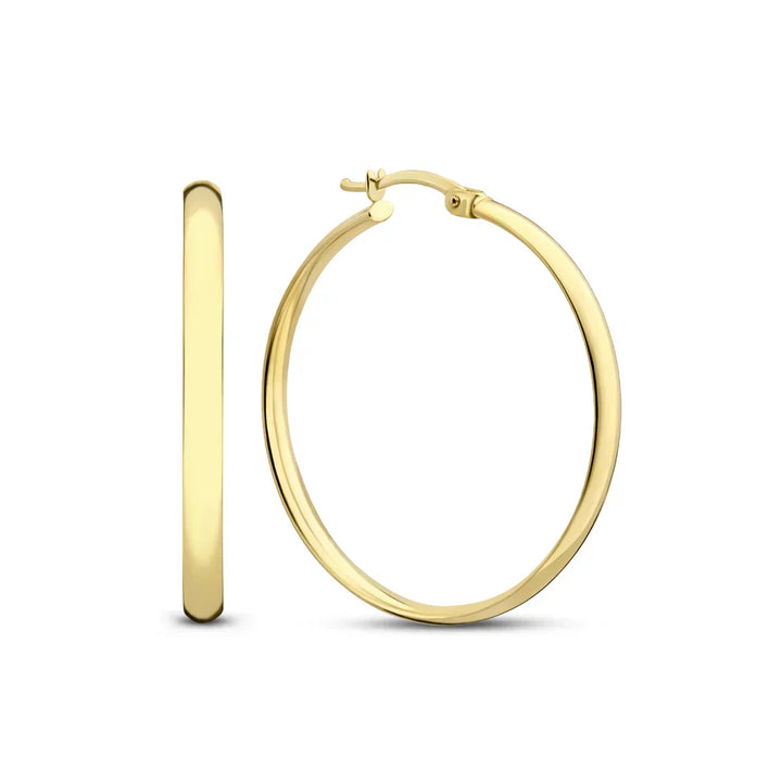 Serane | Gold Earrings