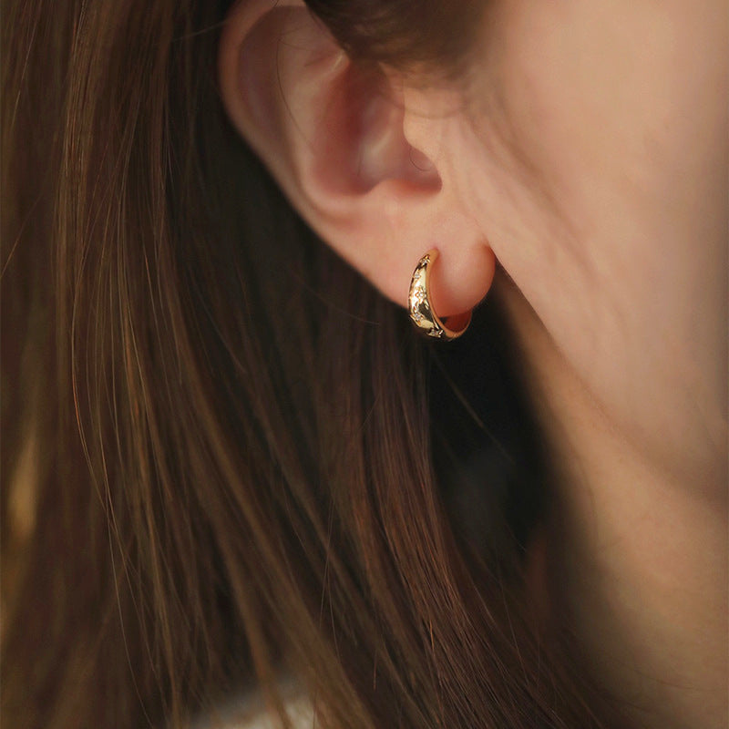 Luxurious gold and silver earrings