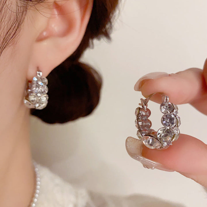 Style Zircon Sparkling Earrings