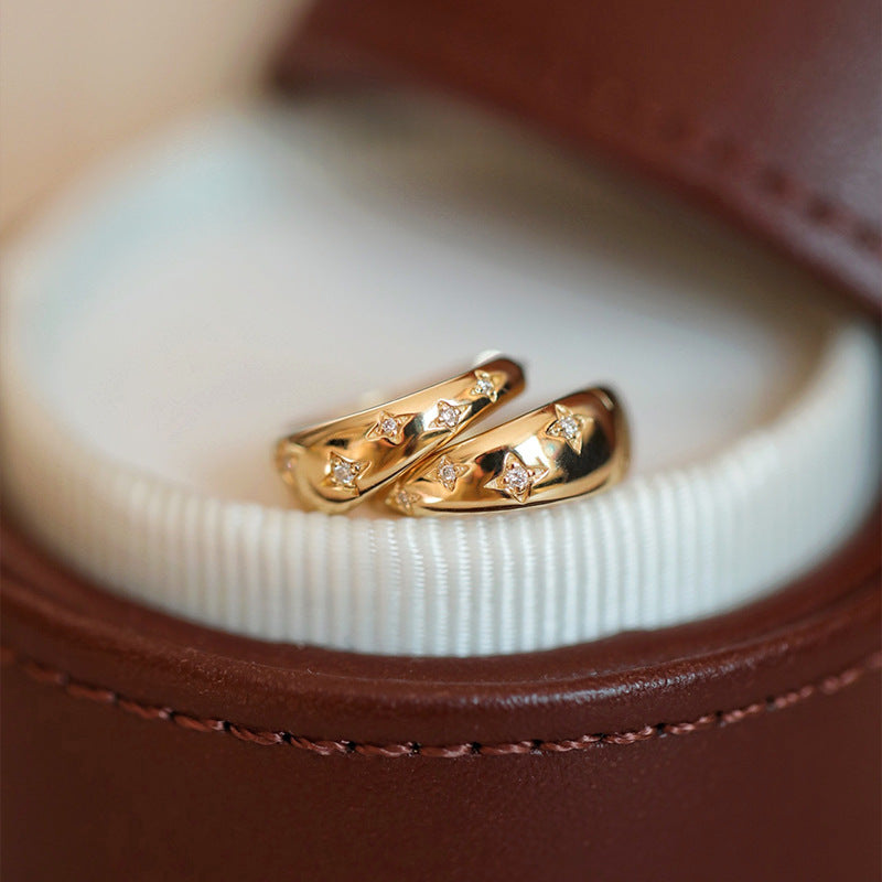 Luxurious gold and silver earrings