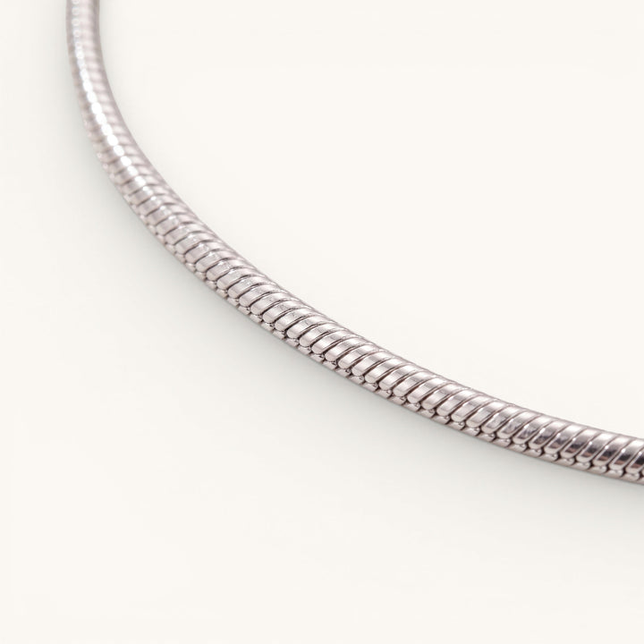 Snake Anklet Silver