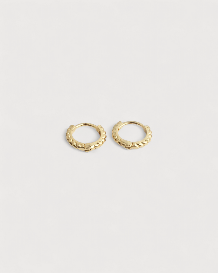 Fierce - Earrings - Plated