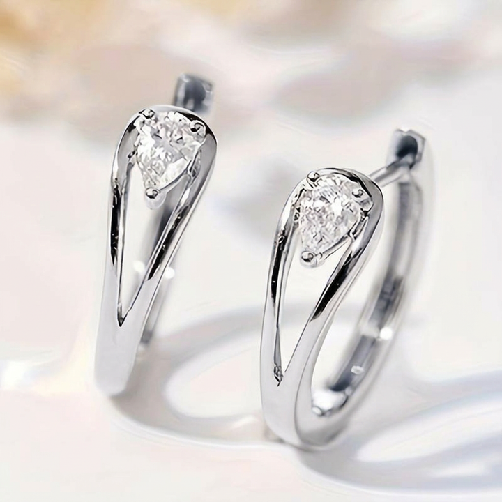 Exquisite Hoop Earrings