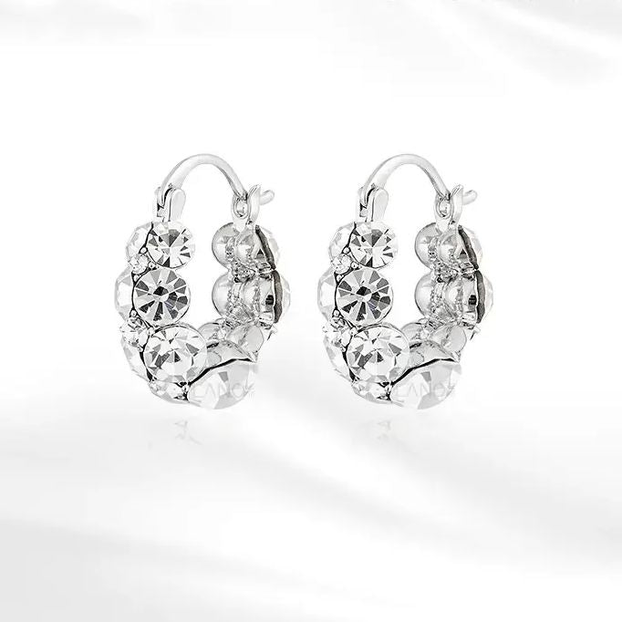Style Zircon Sparkling Earrings