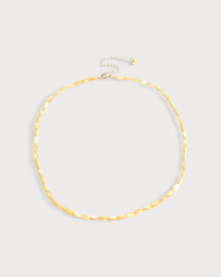 Big Shell - Necklace - Stainless Steel