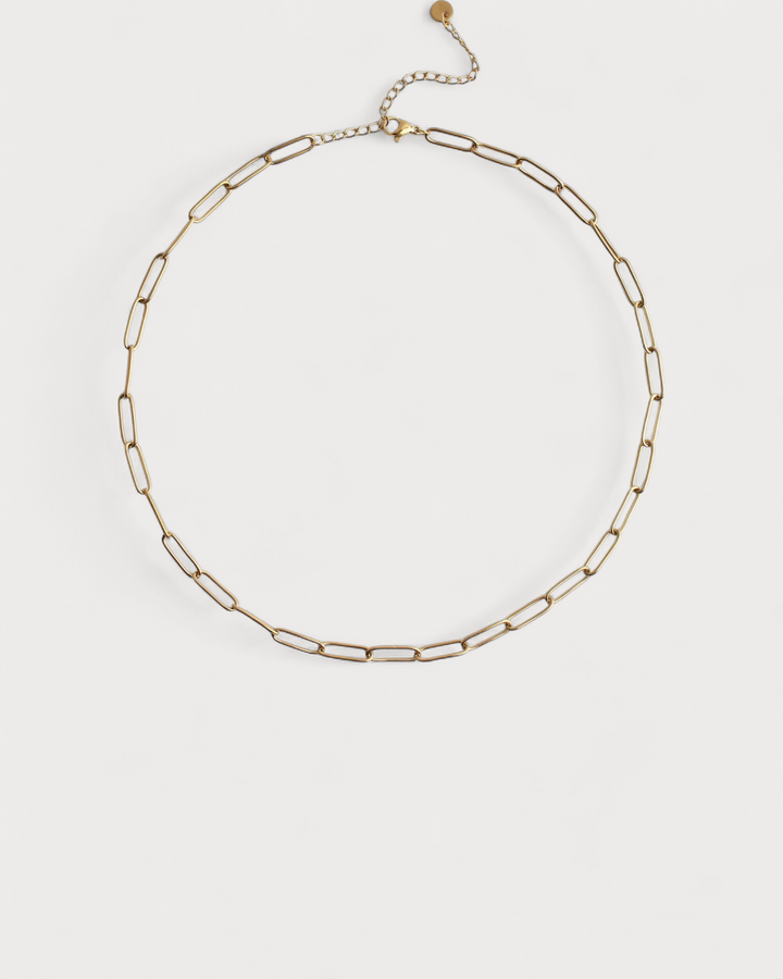 Chain - Necklace - Stainless Steel