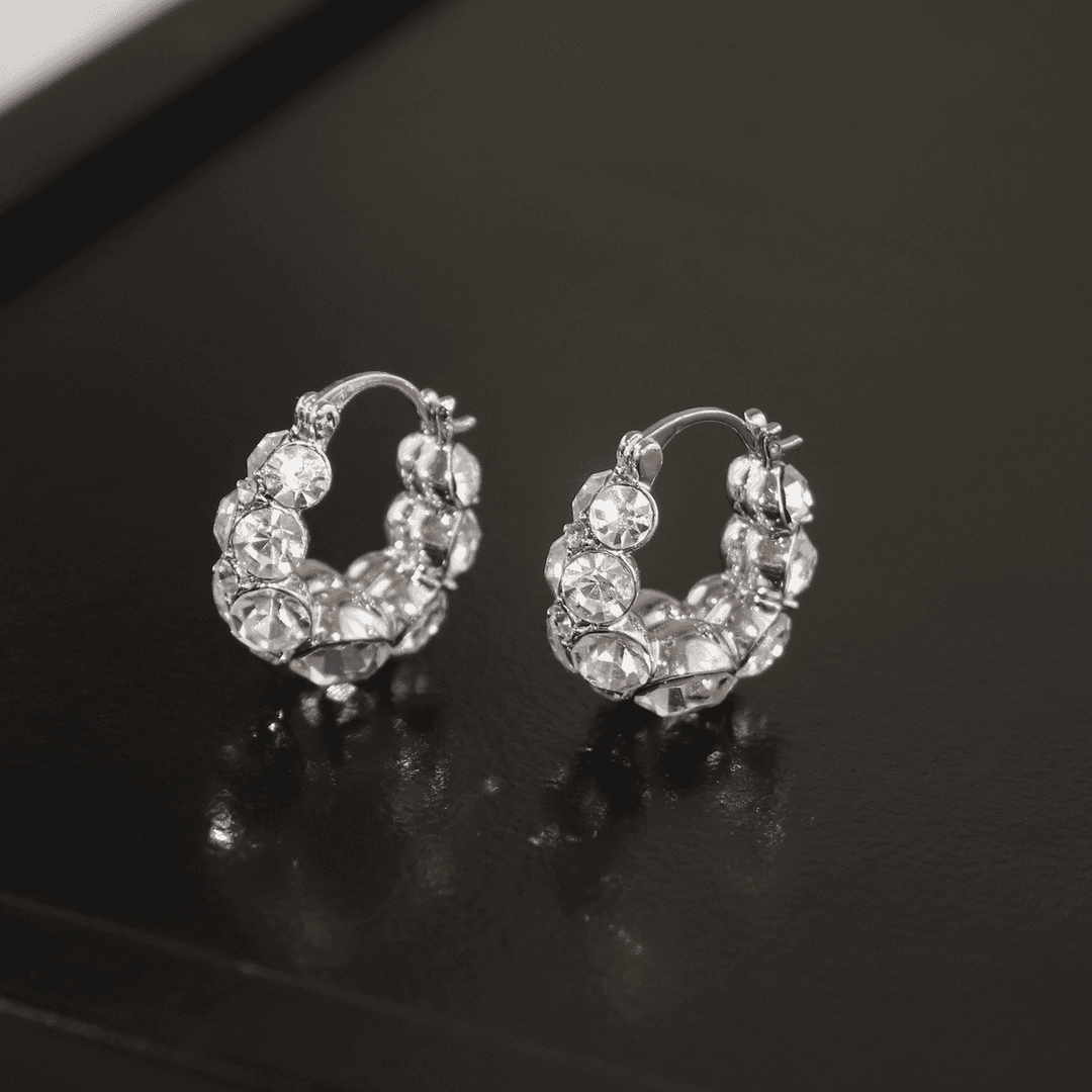 Style Zircon Sparkling Earrings